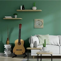 Stupell Industries Spiral Shell Beach Objects Design Canvas Wall Art