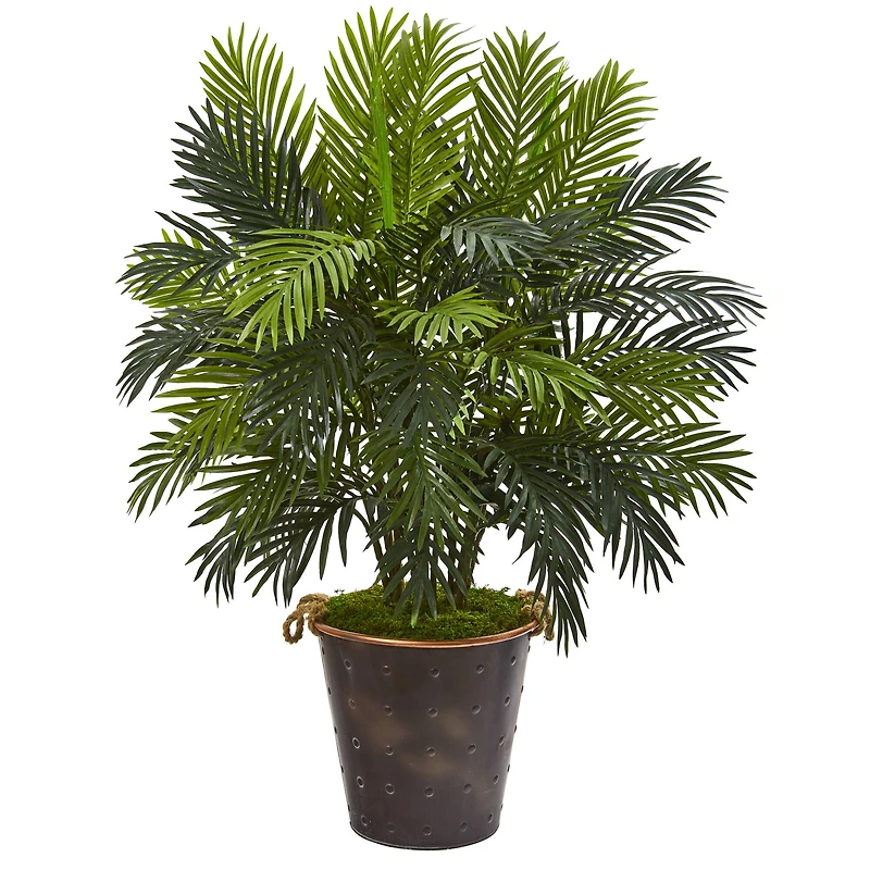 3.5ft. Areca Palm in Metal Pail Planter