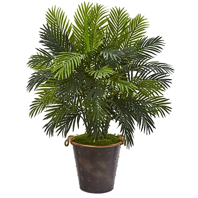 3.5ft. Areca Palm in Metal Pail Planter
