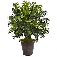 3.5ft. Areca Palm in Metal Pail Planter