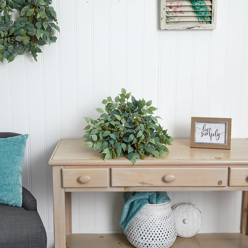 20'' Mixed Ficus & Fittonia Ledge Plant 