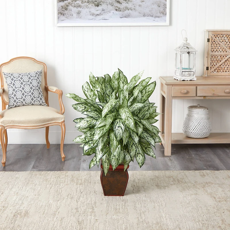 3ft. Silver Queen with Decorative Planter