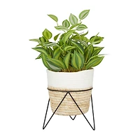 The Novogratz 16" Potted Green Rattan Coastal Artificial Foliage