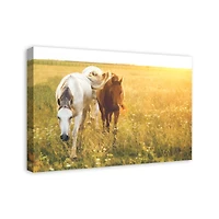 Sunlit Horses 30" x 20" Canvas Wall Art