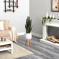 46" Sansevieria Plant in White Planter with Stand