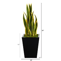 2.5ft. Snake Plant in Metal Planter