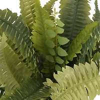12 Pack: Boston Fern Bush by Ashland®