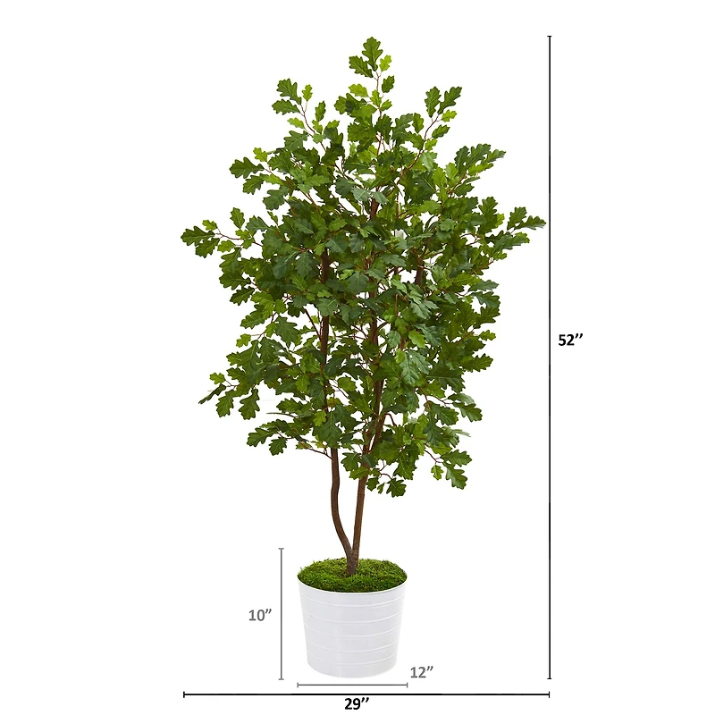 4ft. Oak Tree in White Tin Planter