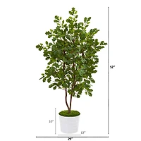 4ft. Oak Tree in White Tin Planter
