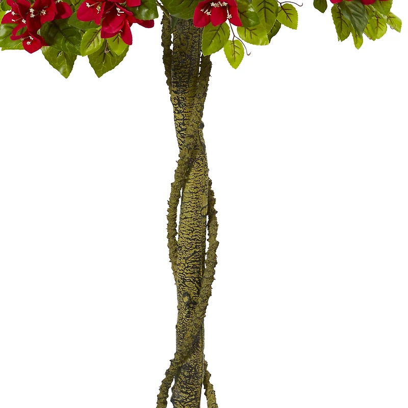 5ft. Potted Bougainvillea Topiary Tree