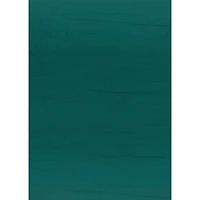 Teacher Created Resources Hunter Green Bulletin Board Rolls, 4ct.