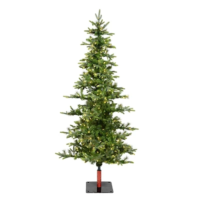 6ft. Pre-Lit Shawnee Fir Artificial Christmas Tree, Warm White LED Dura-Lit Lights