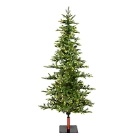 6ft. Pre-Lit Shawnee Fir Artificial Christmas Tree, Warm White LED Dura-Lit Lights
