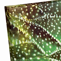 Spotty Succulent 20" x 16" Canvas Wall Art