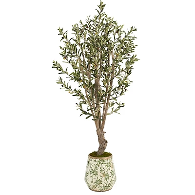 5ft. Olive Tree in Floral Print Planter