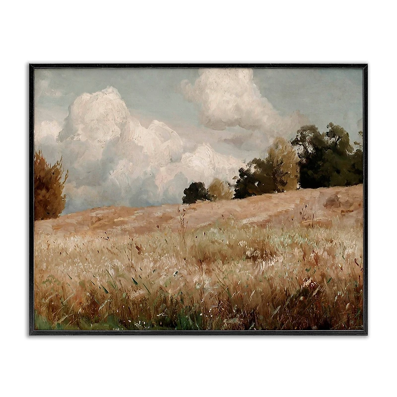 Stupell Industries Classic Cloudy Field Landscape Framed Giclee Art