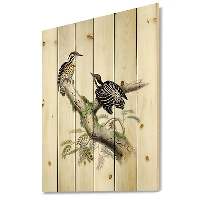 Designart - Vintage Birds In The Wild VIII