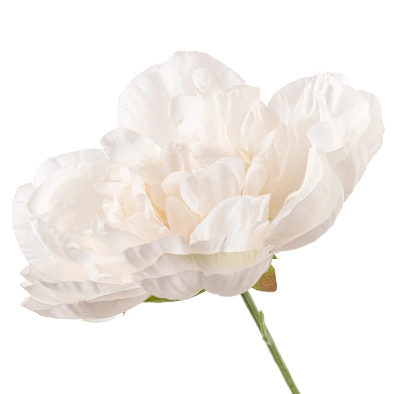 Cream Peony Bush by Ashland®
