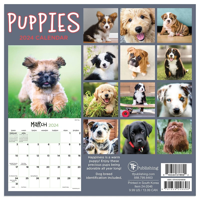 TF Publishing 2024 Puppies Mini Calendar