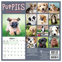 TF Publishing 2024 Puppies Mini Calendar