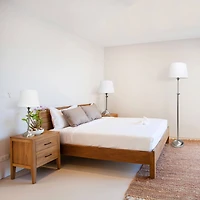 Lalia Home Brushed Nickel Extendable Lamp Set