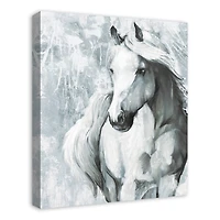 Blue Gray Horse 20" x 24" Canvas Wall Art