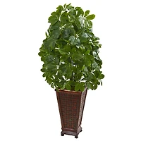 3.5ft. Schefflera Artificial Plant in Decorative Planter