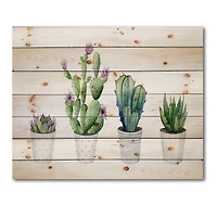 Designart - Cactus Succulent Aloe Vera Home Plants In The Pots