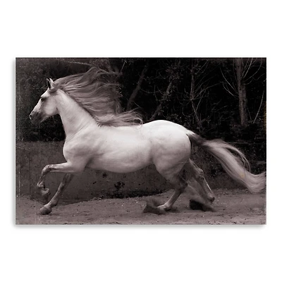 Lumaprints Forest Adventure Giclée Canvas