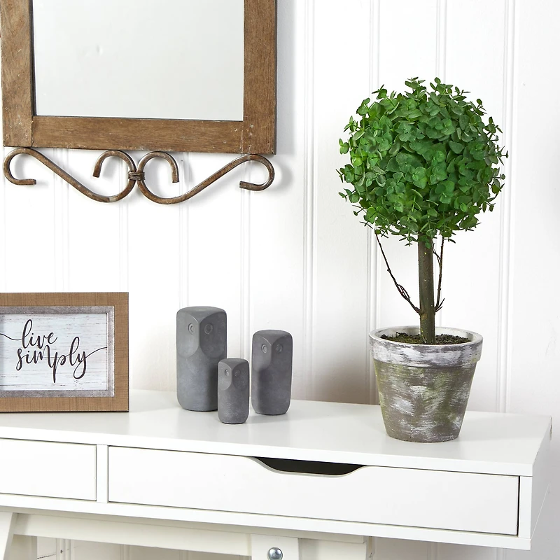 20" Potted Eucalyptus Single Ball Topiary Tree