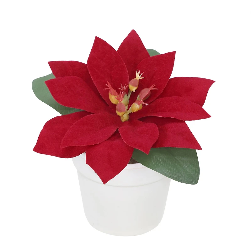 2.5" Premade Velvet Poinsettia in White Terracotta Pot by Ashland