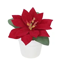 2.5" Premade Velvet Poinsettia in White Terracotta Pot by Ashland