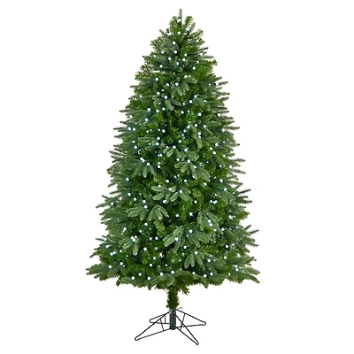 6.5ft. Pre-Lit Fraser Fir Artificial Christmas Tree, White LED Lights