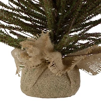2.5ft. Unlit Medium Warsaw Twig Artificial Christmas Tree in Burlap Base