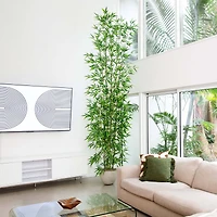 12ft. Potted Artificial Green Bamboo Tree