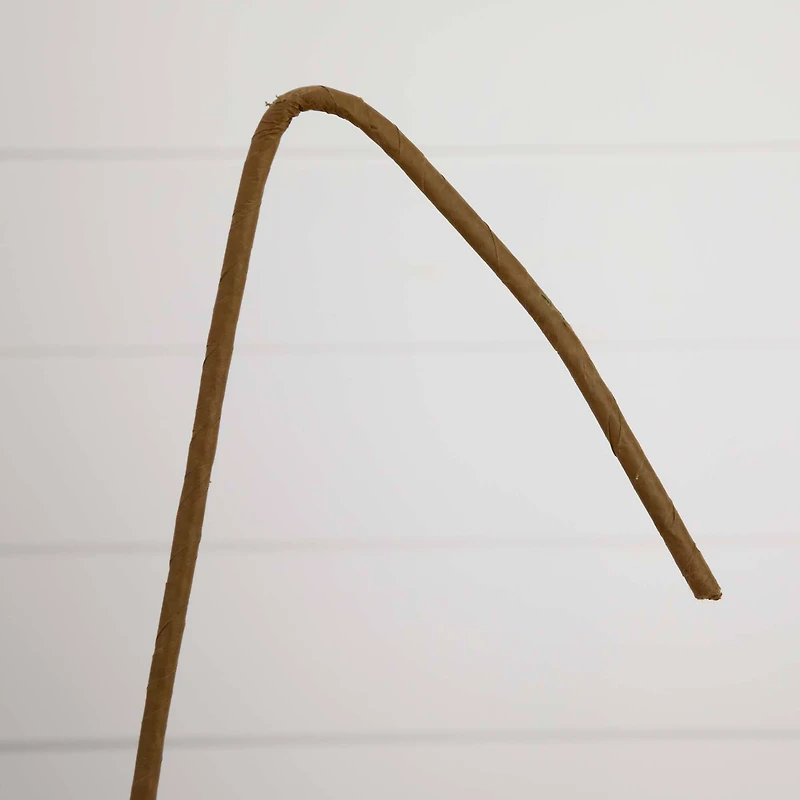 40" Green Eucalyptus Stems, 3ct.