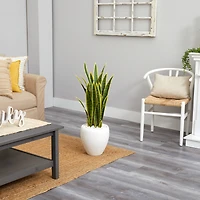 2.5ft. Green & Yellow Snake Plant in White Planter