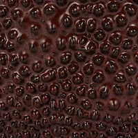 Hello Honey® 6" Brown Reactive Glaze Stoneware Organic Shaped Planter with Raised Dots