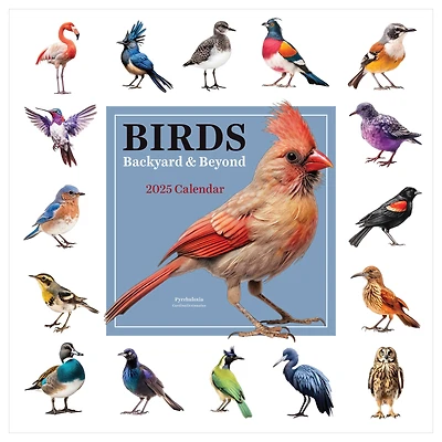 TF Publishing 2025 Birds: Backyard & Beyond Wall Calendar