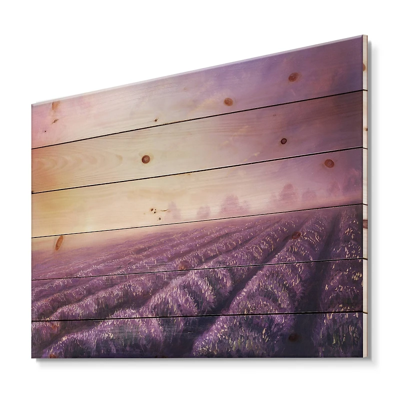 Designart - Lavender Fields During Dawn