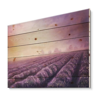 Designart - Lavender Fields During Dawn