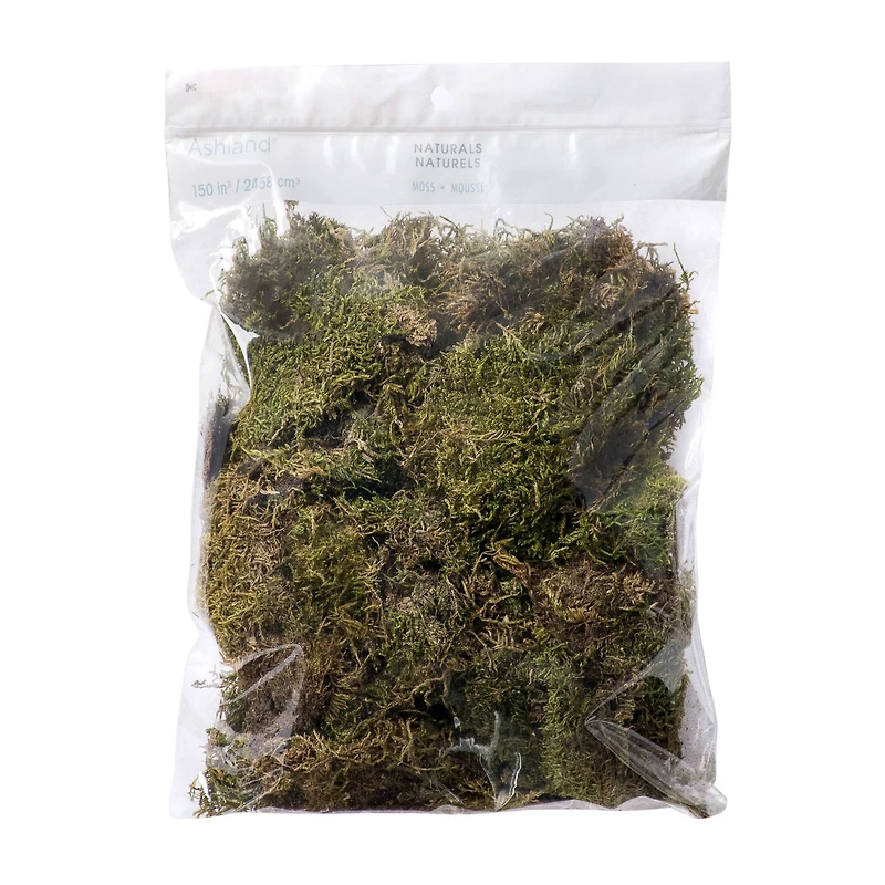 12 Pack: Decorative Moss by Ashland®