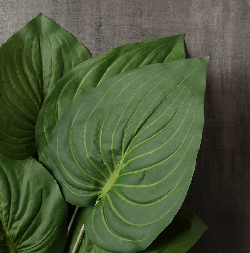 8 Pack: Green Real Touch Hosta Bush by Ashland®