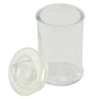 Mini Glass Jars with Lids by Celebrate It™