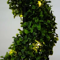 4ft. LED UV Resistant Boxwood Spiral Topiary Tree in Decorative Planter