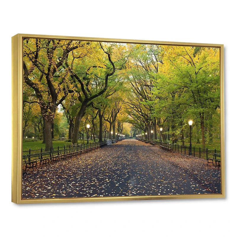 Designart - The Mall Area in Central Park