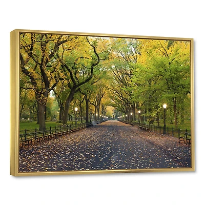 Designart - The Mall Area in Central Park