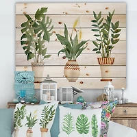 Designart - Houseplant Monstera & Peace Lily In Terra Cotta