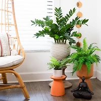 28" Artificial Zamioculcas Plant with Decorative Planter