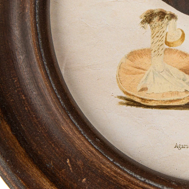 Hello Honey® 9.5" Round Framed Mushroom Print Wall Art Set